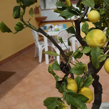 La Cartolina *